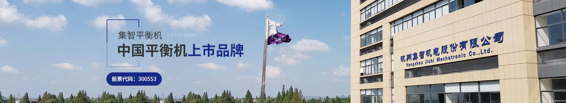 pp电子模拟器平衡机中国上市品牌